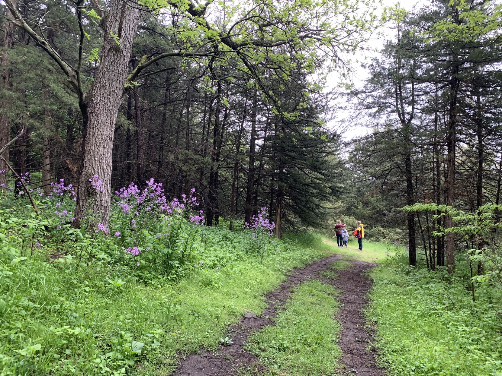 Dynamite Pete's Trail - family.jpg